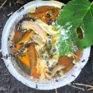 How to Get Rid of Slugs