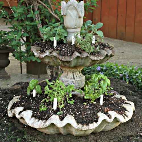 Old concrete fountain with plants and diy plant markers