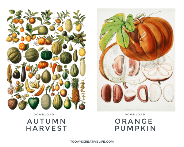 2 Fall Botanical Posters. Printable Botanical Wall Art for Fall