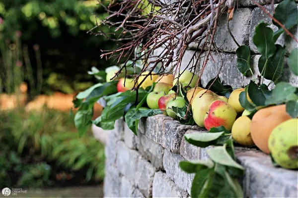 Apples lined up on an outdoor fireplace mantel. 