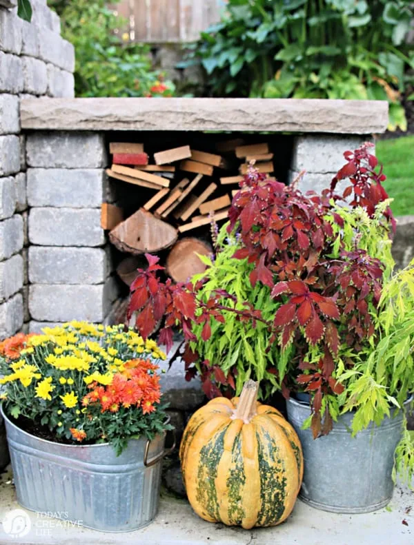 Fall plants with a striped orange and green pumpkin