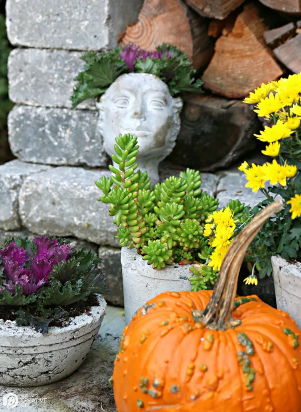 Pumpkins and Flowering Cabbage with Mums for fall decor outside. 