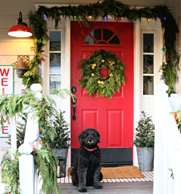 Christmas Porch Decorating Ideas | Red door with green garland, lights and a black dog sitting by the door. 