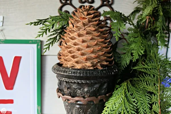 Large pinecone in a planter for front porch decorating.