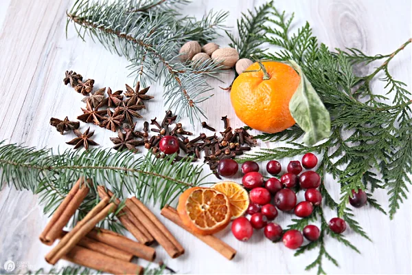 looking down at Stovetop Potpourri ingredients