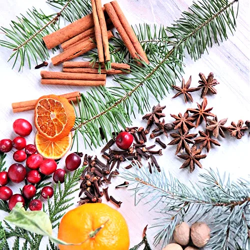 Colorful Simmering Stovetop Potpourri ingredients