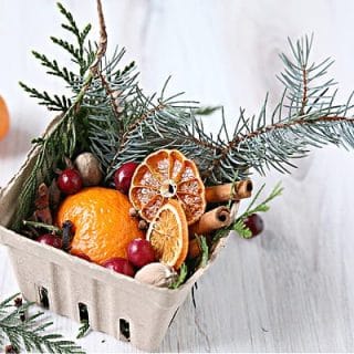 cardboard berry carton filled with winter potpourri items.