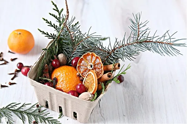 cardboard berry carton filled with winter potpourri items.