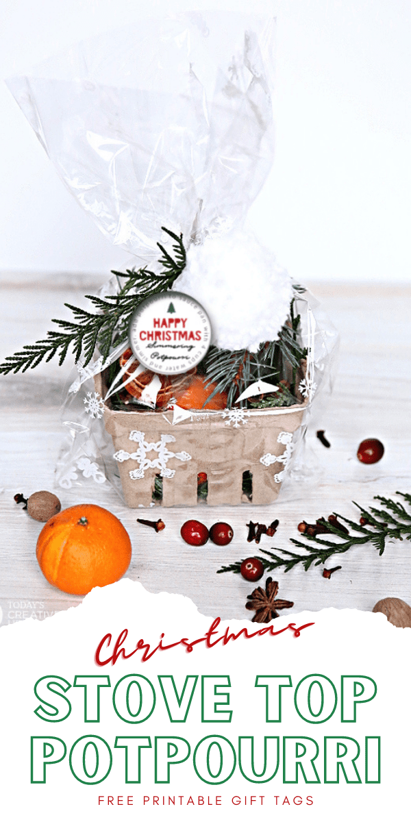 Christmas Stove Top Potpourri - Gift Package Idea and Free Printables - Big  Bear's Wife