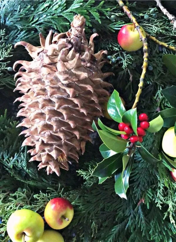 Holiday seasonal natural elements. Pinecone, apples, holly. 