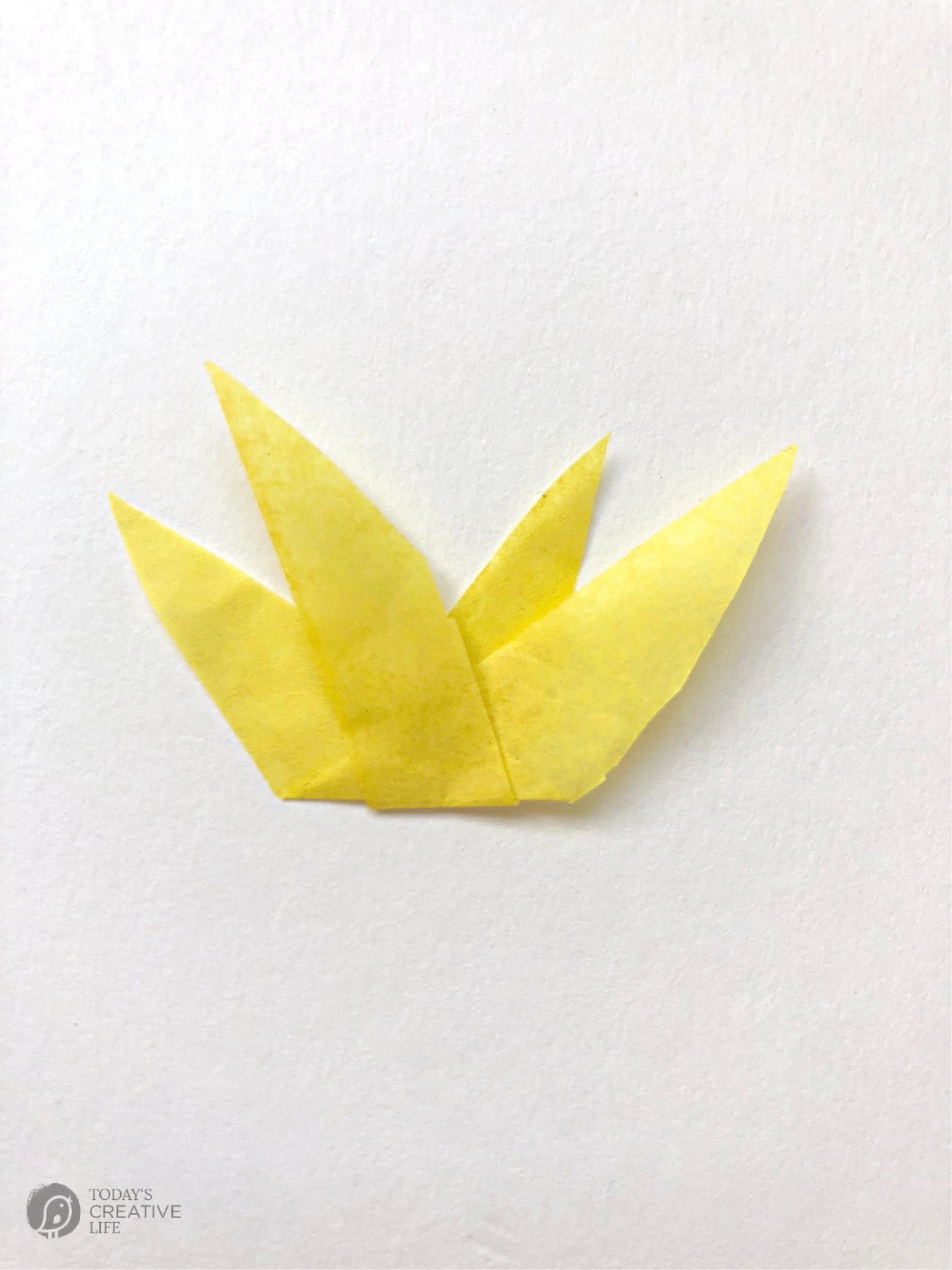 Folded Tissue Paper for making a DIY Tissue Paper Flower