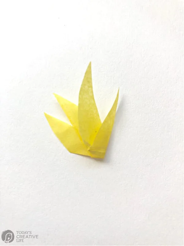 Yellow Tissue Paper Forsythia Bloom.