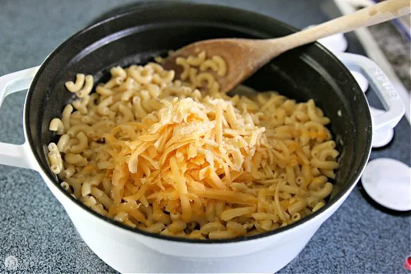 Adding shredded cheese to boiled pasta for homemade mac and cheese