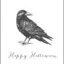 Happy Halloween Crow Poster