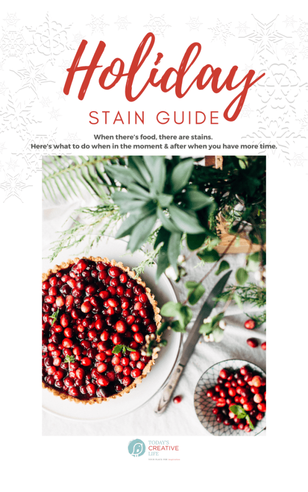 Holiday Stain Guide with a bowl of cranberries and holiday greens. 