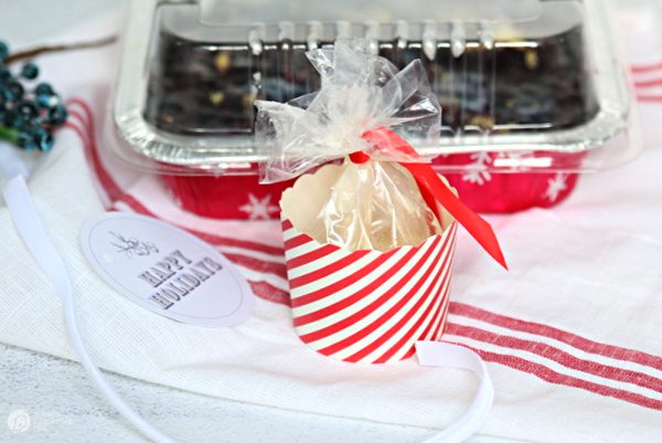 Red and white paper cup with a bag of icing inside for recipe for frozen blueberries