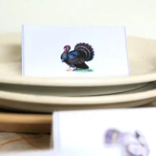 Printables for Thanksgiving | Printable place cards with vintage turkeys.