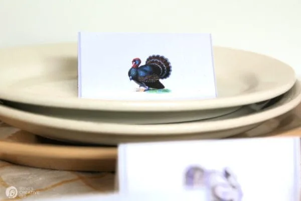 Printables for Thanksgiving | Printable place cards with vintage turkeys. 