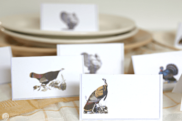 Paper place cards with turkeys for thanksgiving