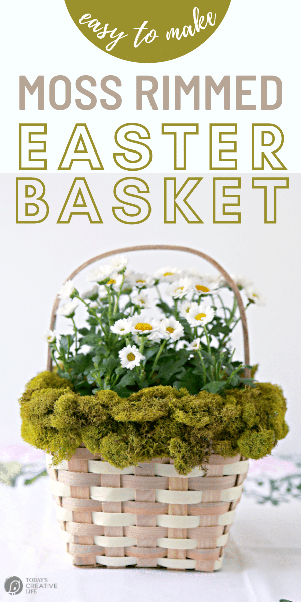 Easter Basket Ideas with a Moss decorated basket. Small daisy plant inside. 