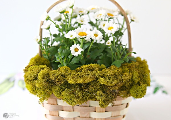 Easter Basket Ideas with moss around the rim.