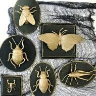 Faux Insect Taxidermy