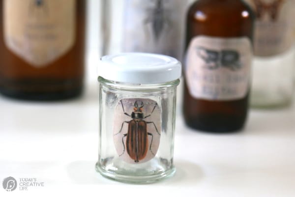 small jar with apothecary label