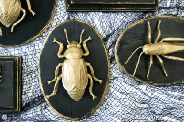 Gold painted plastic bugs glued to black painted wood plaques