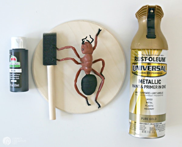 Supplies for making faux insect taxidermy