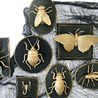 Gold painted plastic bugs on black wood plaques.