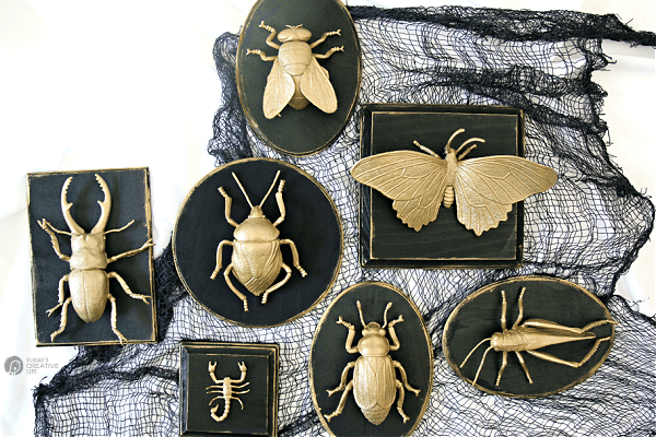 Gold painted plastic bugs on black wood plaques.