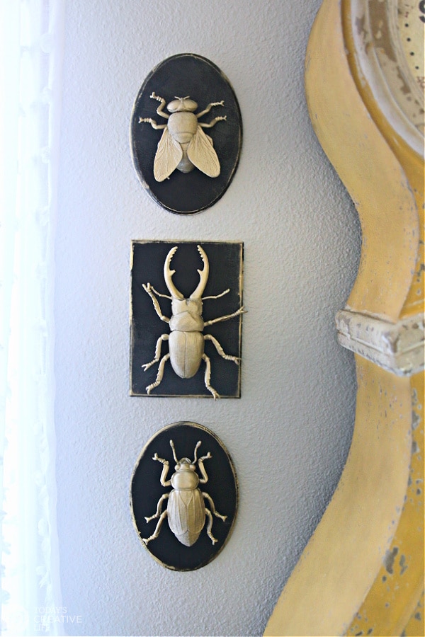 Faux Insect Taxidermy wall art hung on the wall.