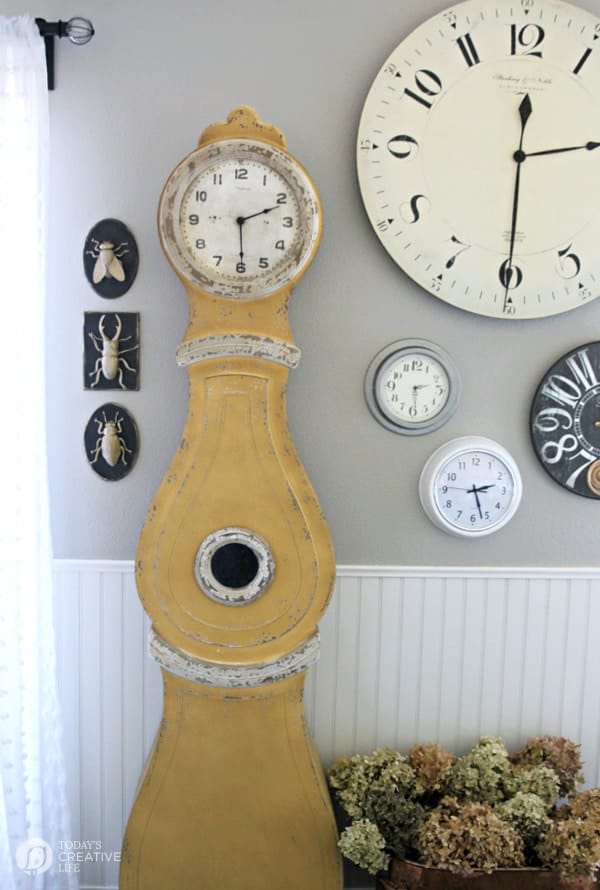 Wall decorated with tall Swedish gold clock, other clocks and insect taxidermy