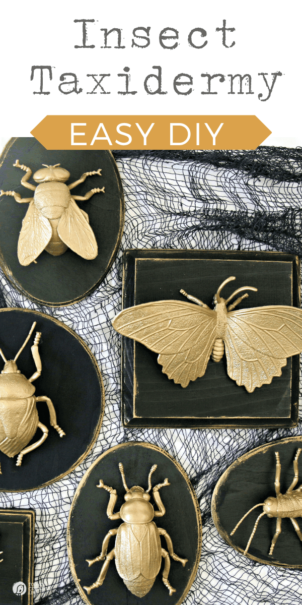 gold painted bugs for faux insect taxidermy on black wood plaques.