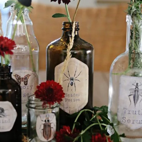 Apothecary jars with printable labels.