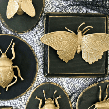 gold painted bugs for faux insect taxidermy on black wood plaques.
