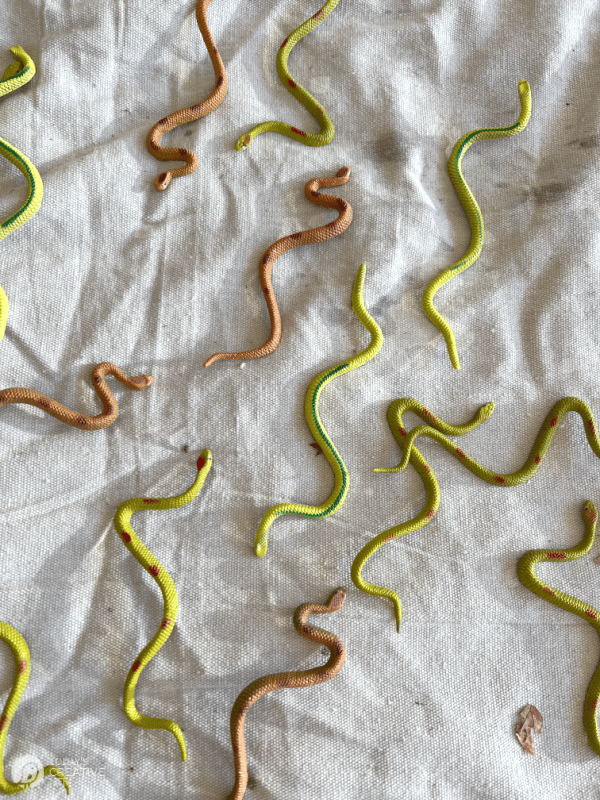Colorful plastic snakes laying on a drop cloth