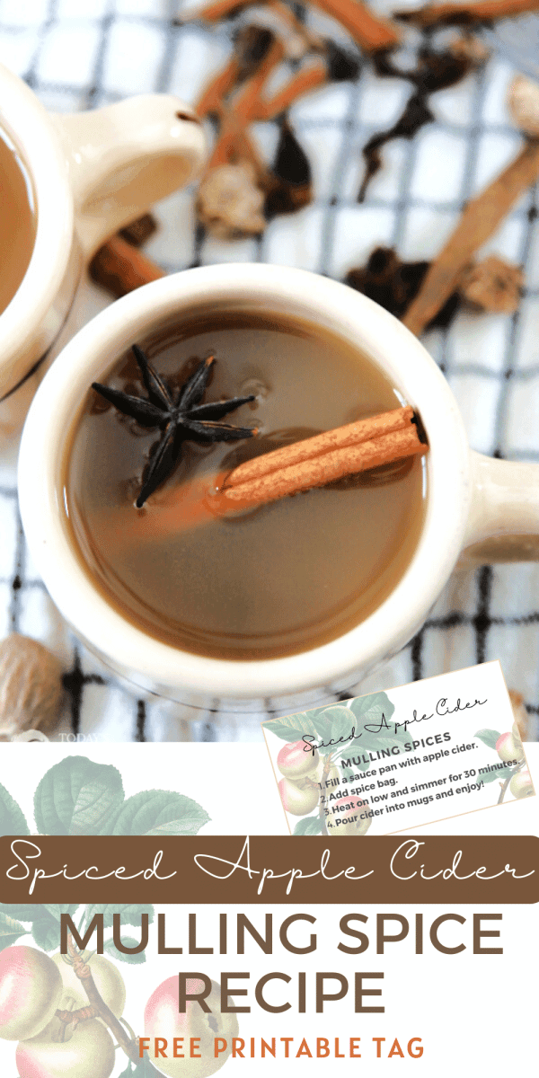 Cup of spiced apple cider with a cinnamon stick surrounded by spices for hot cider.