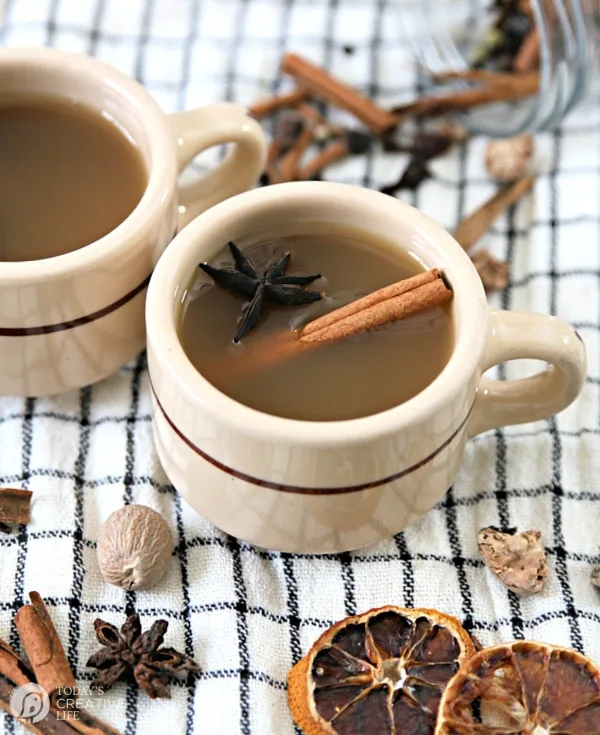 two mugs filled with hot cider. Garnished with a cinnamon stick