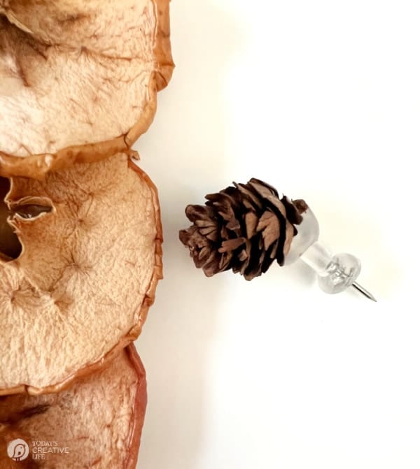 Dried Apple Wreath push pin with pinecone glued to it.