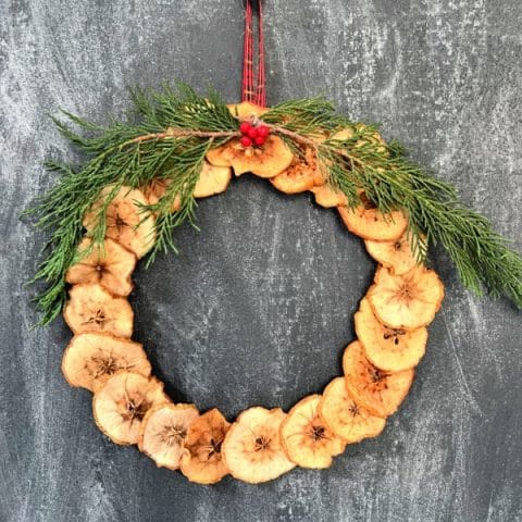 Dried apple wreath with cedar greens and red ribbon