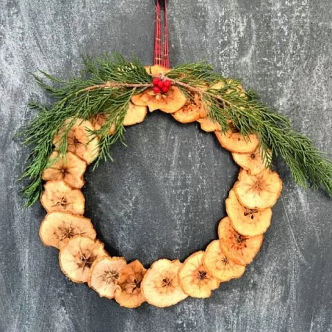 Dried apple wreath with cedar greens and red ribbon