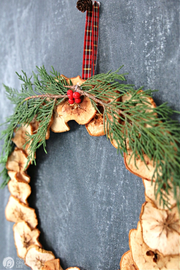 Side view of a wreath made with dried apples, cedar and holly berries