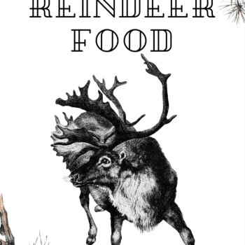 How to make Reindeer food with reindeer image