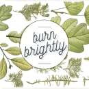 burn brightly label for match bottles