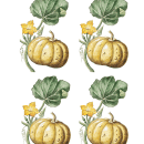 Pumpkin botanical 4 times for napkins