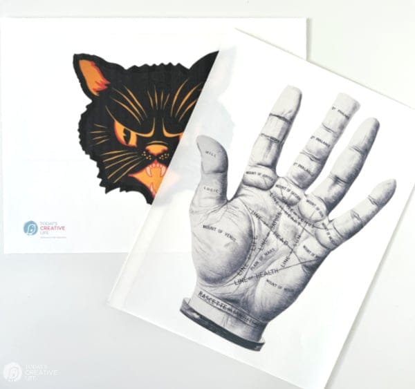 Vintage Cat Face and Vintage Palm reading images for making Halloween Pillow Covers with iron-on transfer sheets.