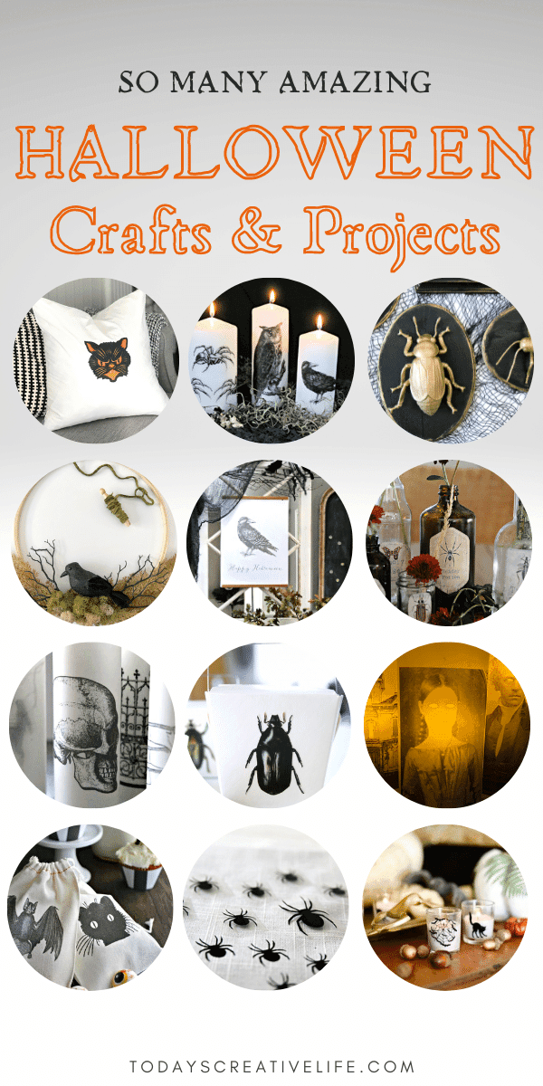 Photo collage of DIY Halloween Crafts and Decor Ideas