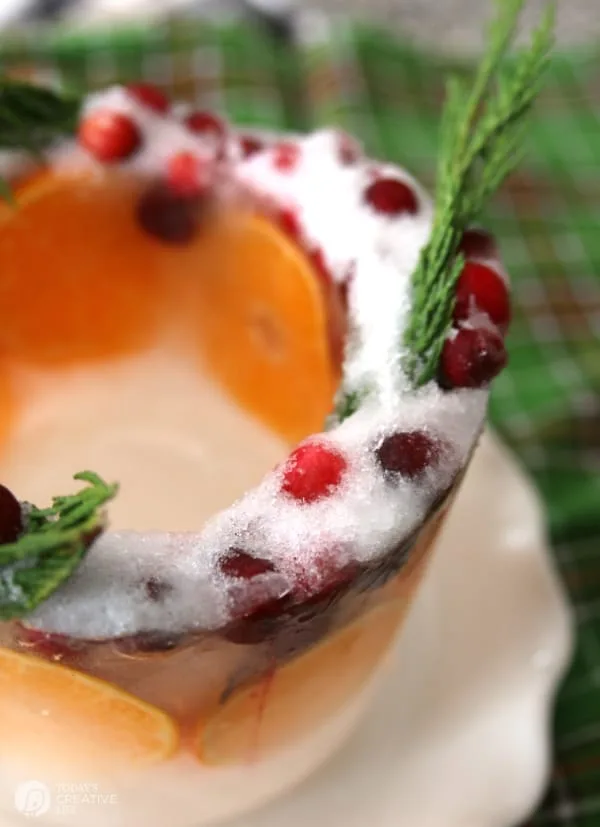 Looking into a homemade DIY ice mold with orange slices.