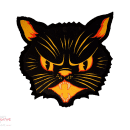 vintage black cat graphic 